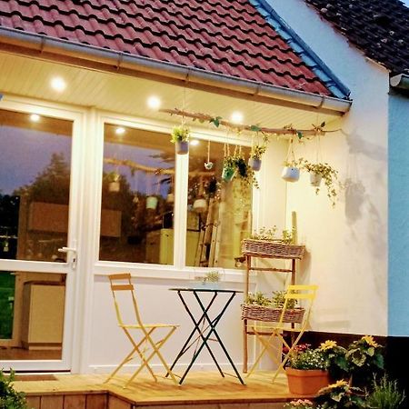 Le Cottage Du Marais. Houlle Eksteriør billede